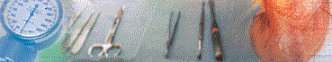Visual8.gif (14462 bytes)